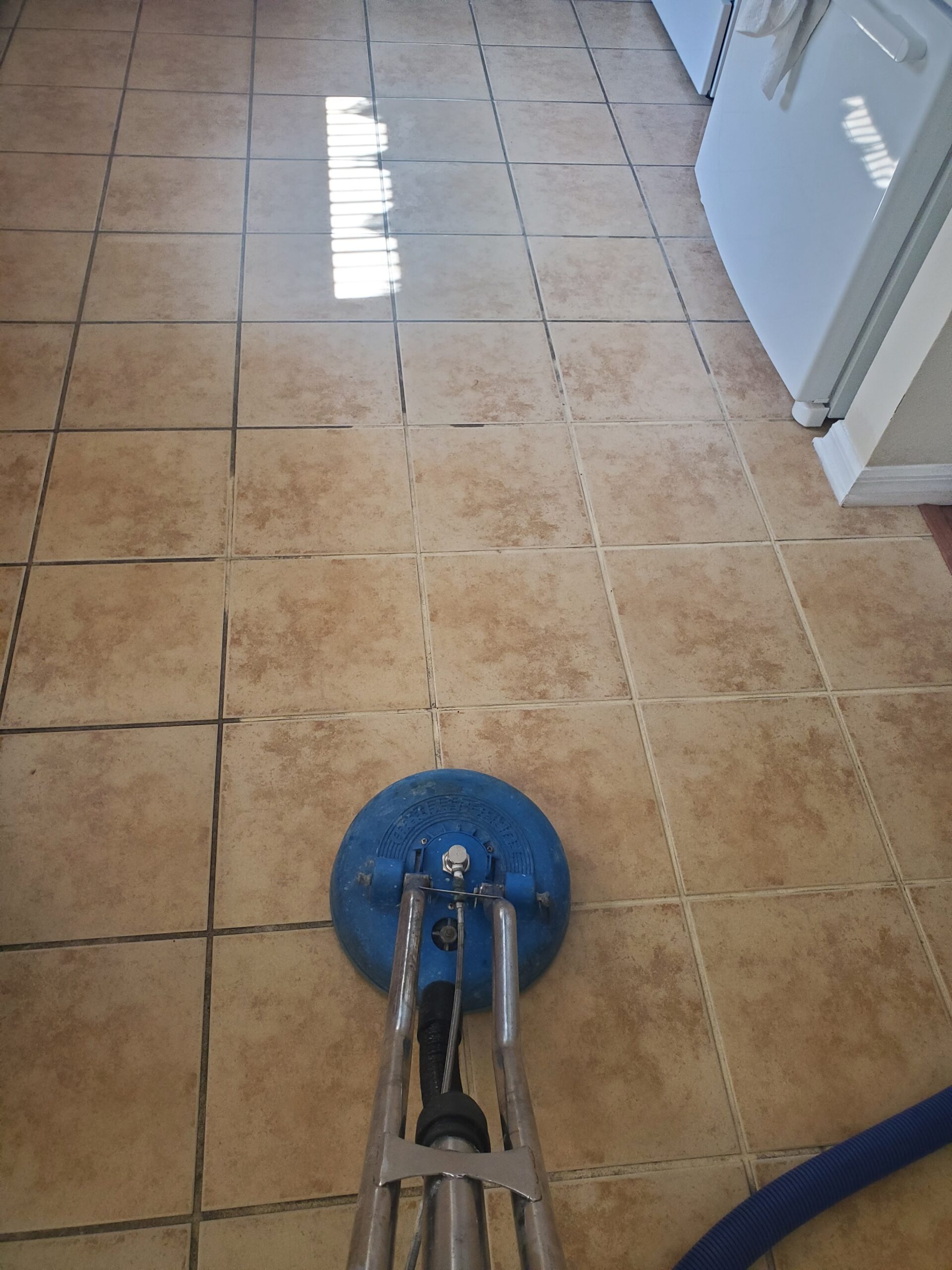 ECO FRIENDLY STEEMERS | Orlando FL Carpet Cleaning | Central Florida Steam Cleaners | 20220506 162531 scaled