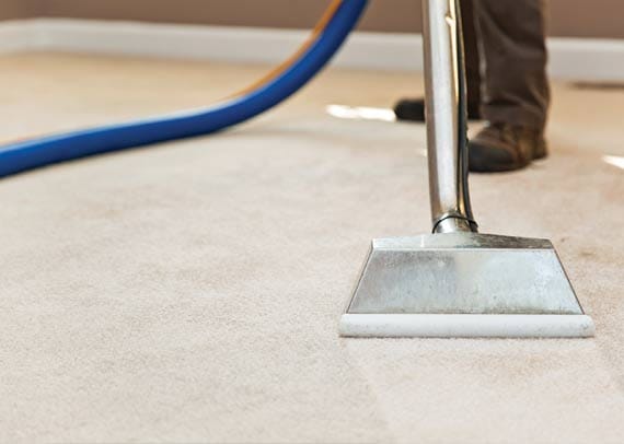 ECO FRIENDLY STEEMERS | Orlando FL Carpet Cleaning | Central Florida Steam Cleaners | PHOTO 2023 08 11 13 55 26